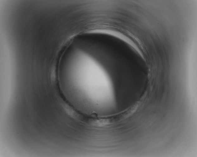 X0000114580353200910191528