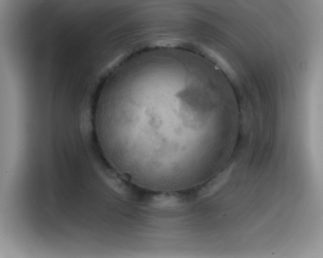 X0000114580354200910191528