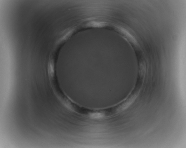 X0000114580358200910191528