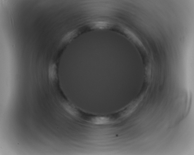 X0000114580361200910191528