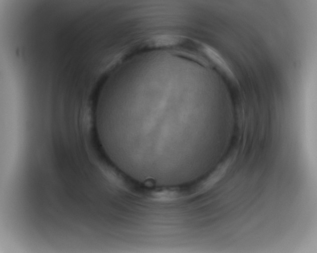 X0000114580362200910191528