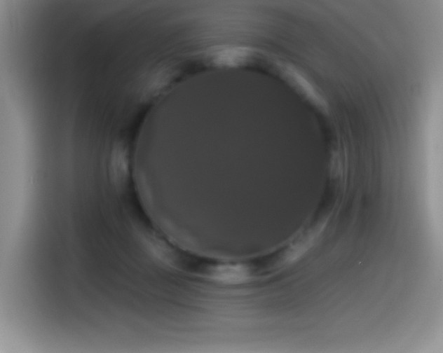 X0000114580363200910191528