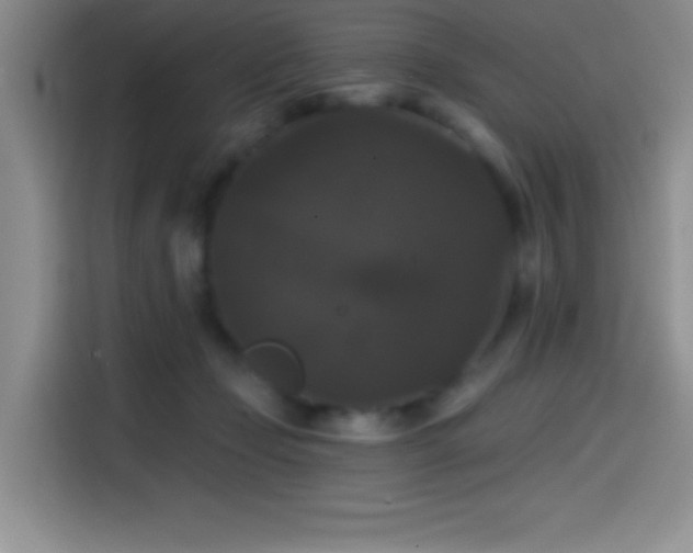 X0000114580365200910191528