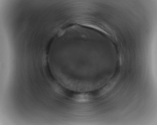 X0000114580366200910191528