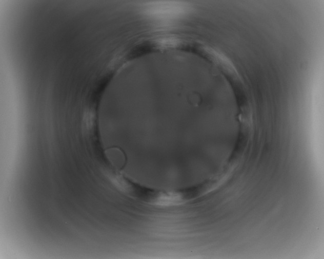 X0000114580369200910191528