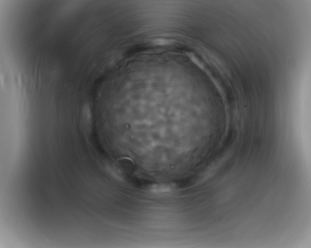 X0000114580373200910191528