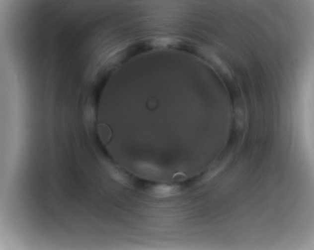 X0000114580375200910191528