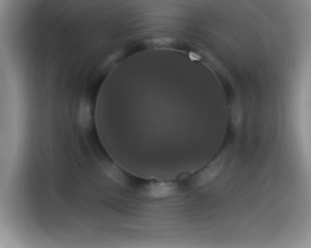 X0000114580378200910191528