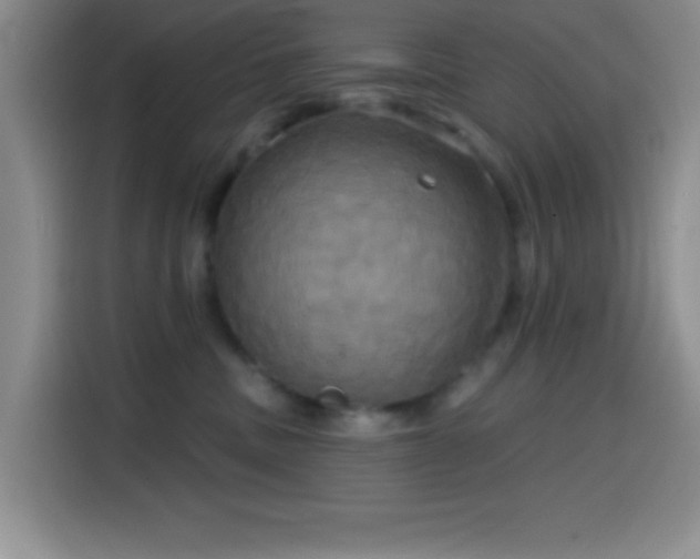 X0000114580379200910191528