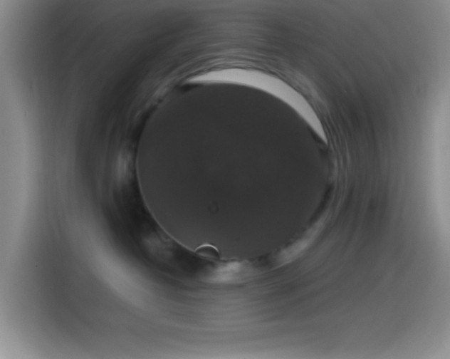 X0000114580382200910191528