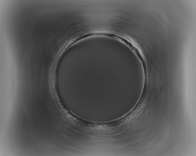 X0000114580385200910191527