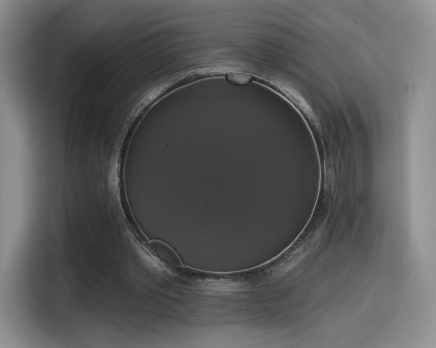 X0000114580389200910191527