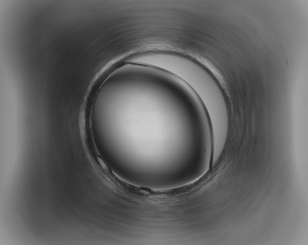 X0000114580391200910191527