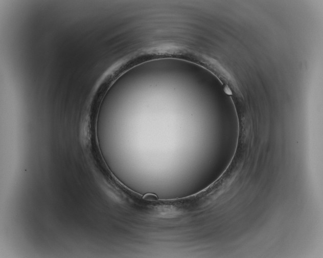 X0000114580392200910191527