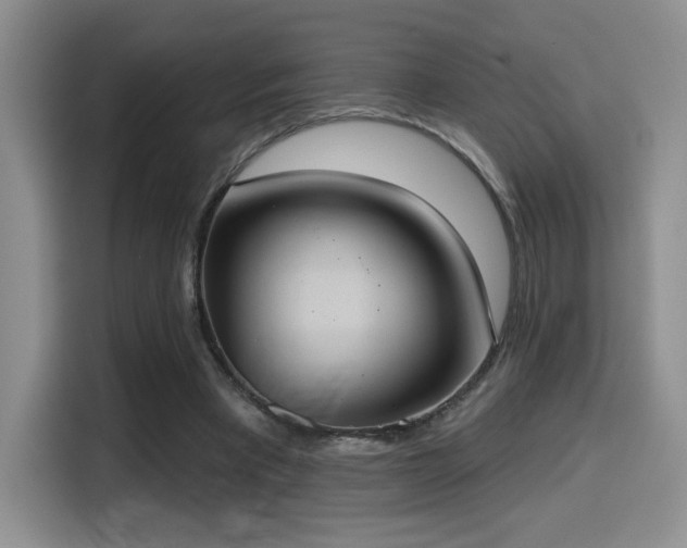 X0000114580393200910191527