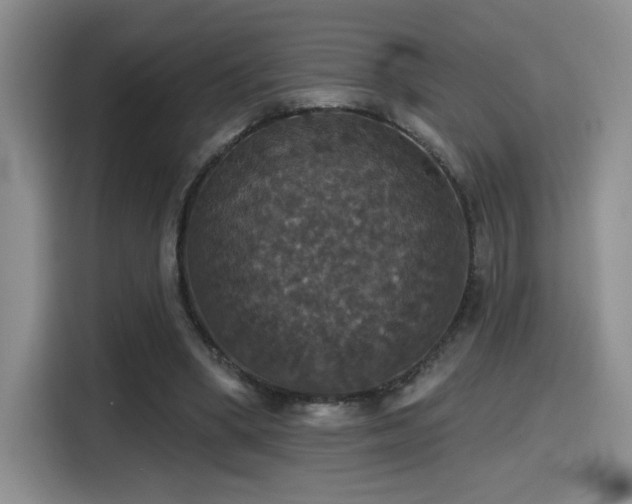 X0000114580394200910191527