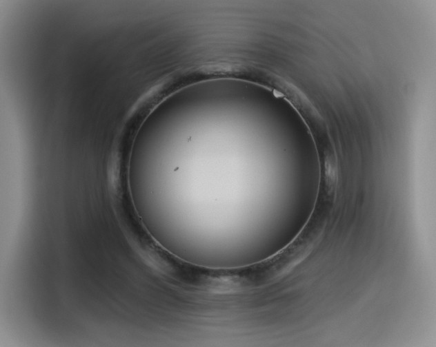 X0000114580396200910191527