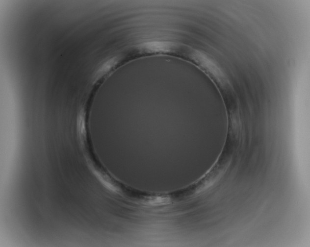 X0000114580398200910191527