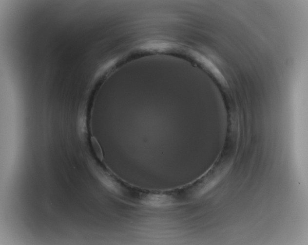 X0000114580399200910191527