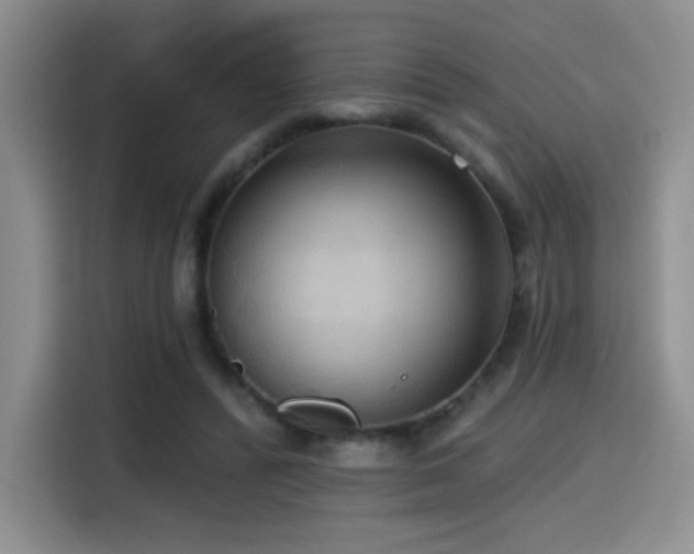 X0000114580400200910191527