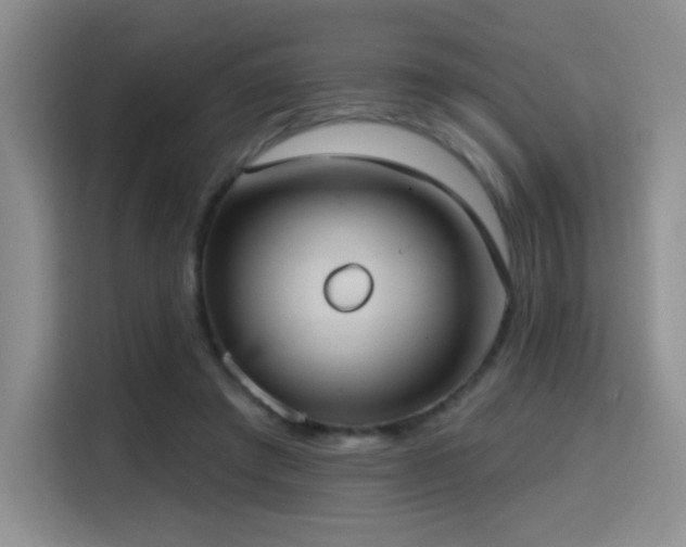 X0000114580401200910191527