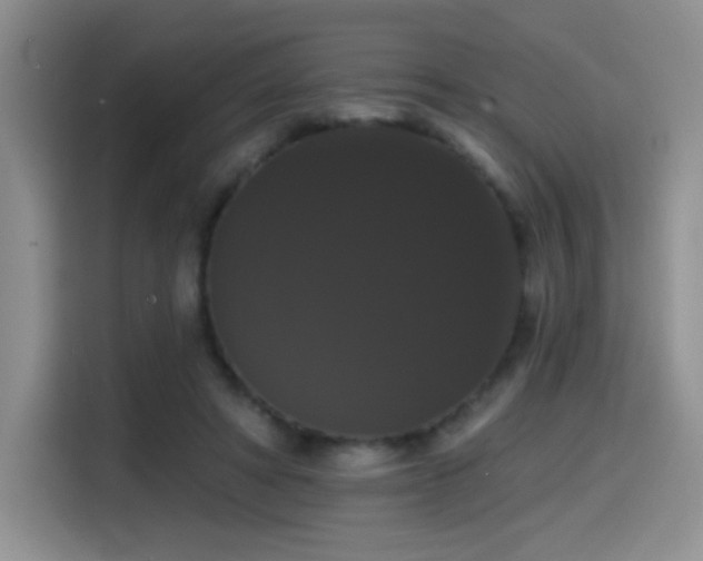 X0000114580402200910191527