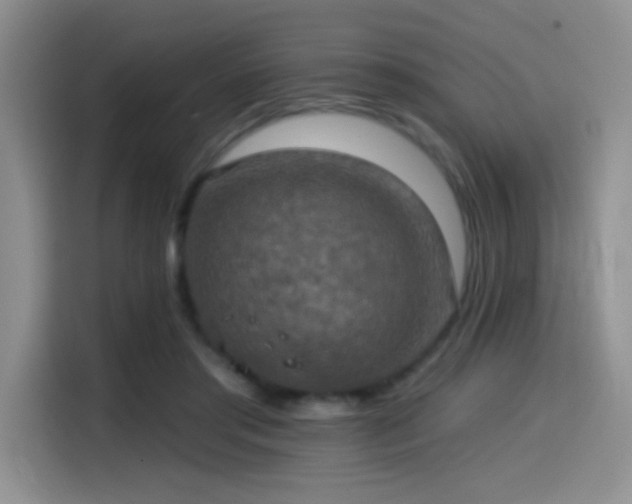 X0000114580405200910191527