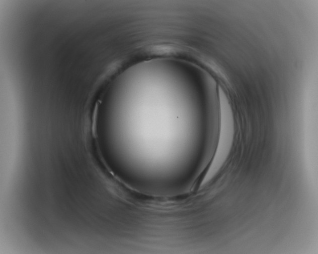 X0000114580407200910191527