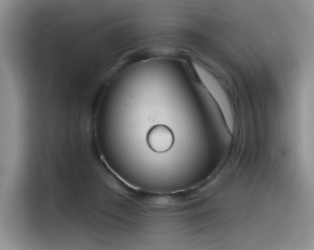 X0000114580409200910191527