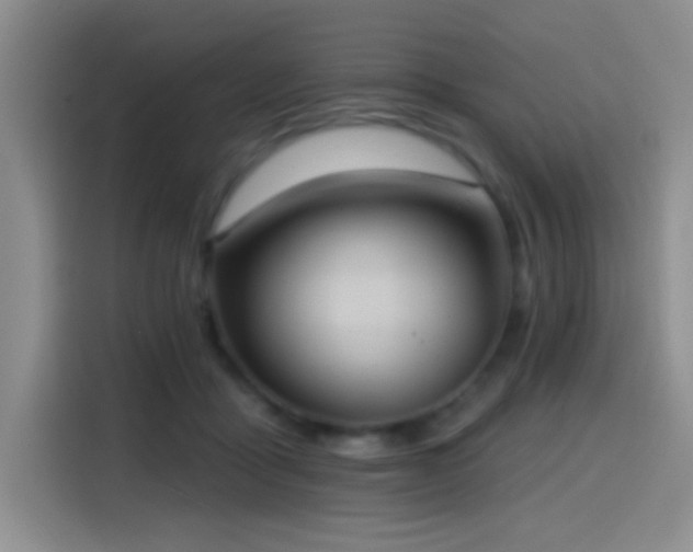 X0000114580411200910191527