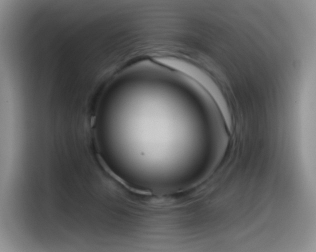 X0000114580415200910191527