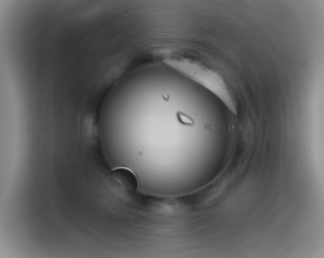 X0000114580420200910191527