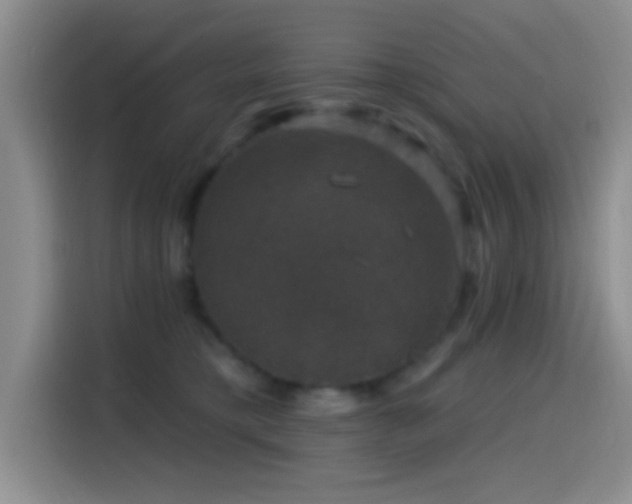 X0000114580421200910191527