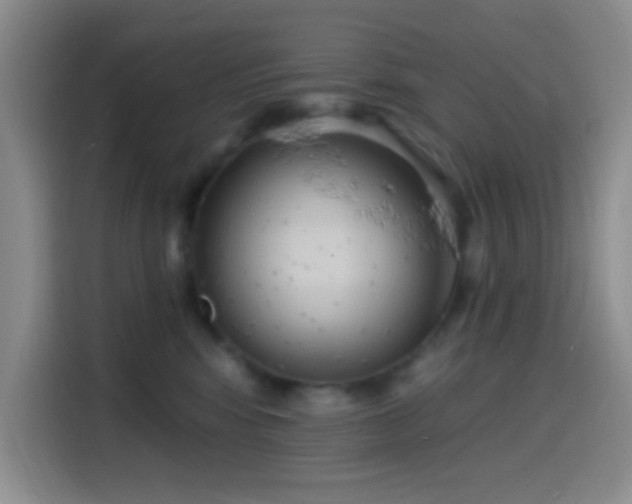 X0000114580424200910191527