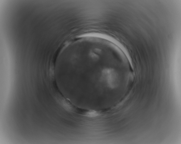 X0000114580425200910191527