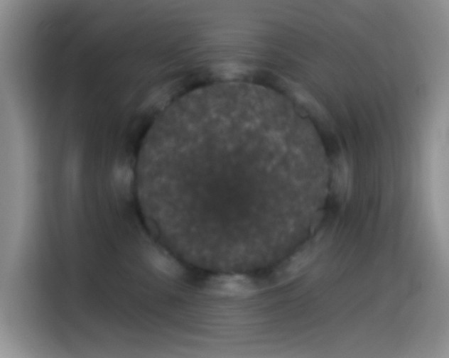 X0000114580427200910191527