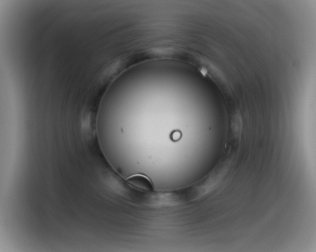 X0000114580428200910191527