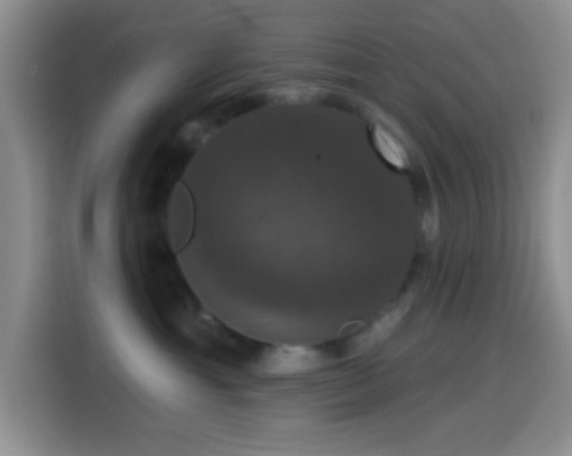 X0000114580429200910191527