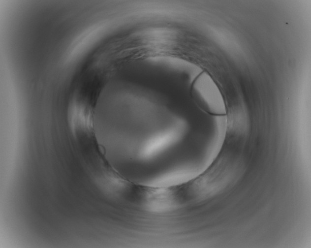 X0000114580431200910191527