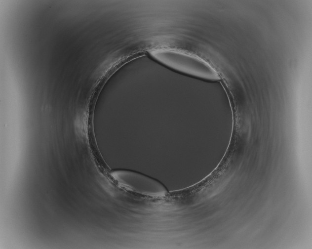 X0000114580434200910191526