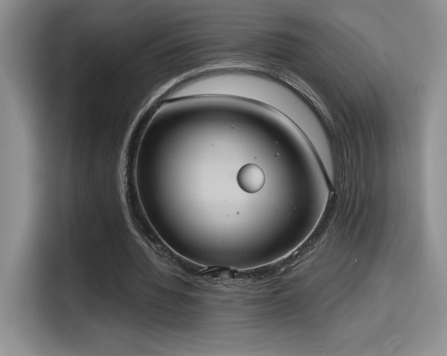 X0000114580436200910191526