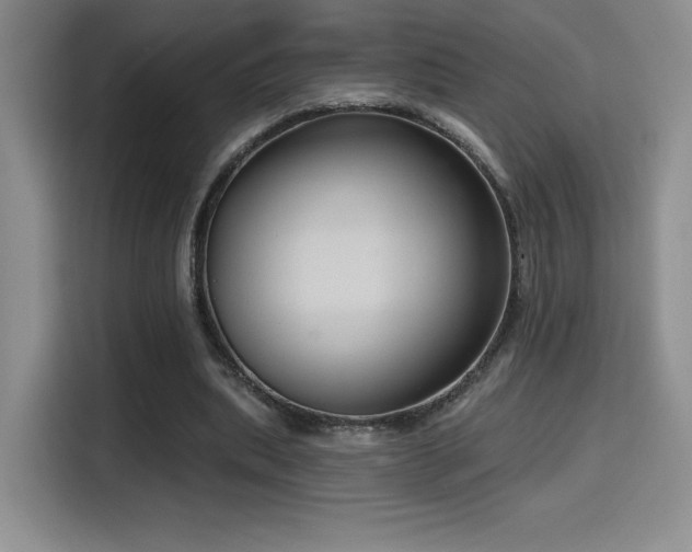 X0000114580439200910191526