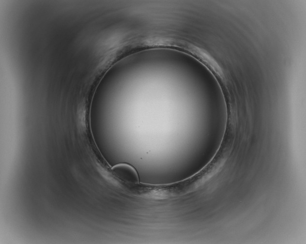 X0000114580441200910191526