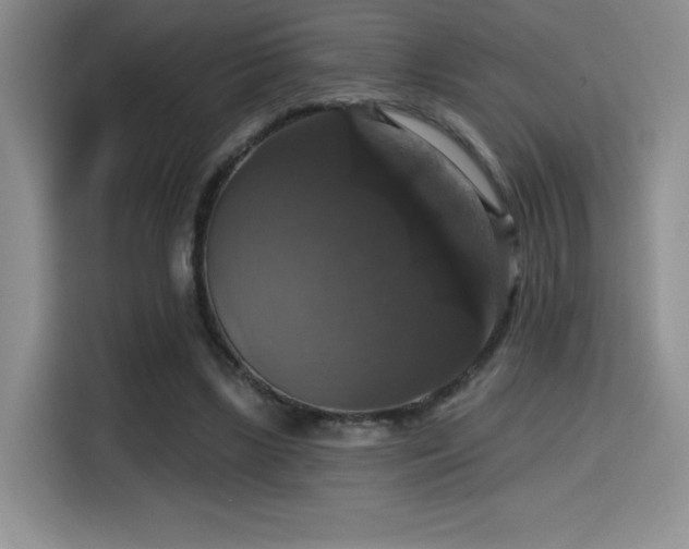 X0000114580443200910191526