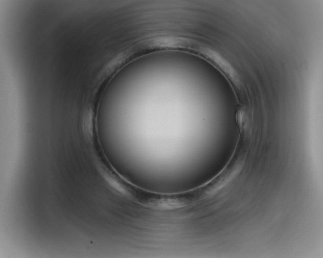 X0000114580445200910191526