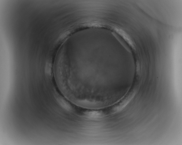 X0000114580449200910191526