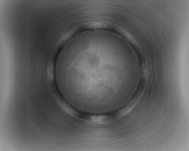 X0000114580450200910191526