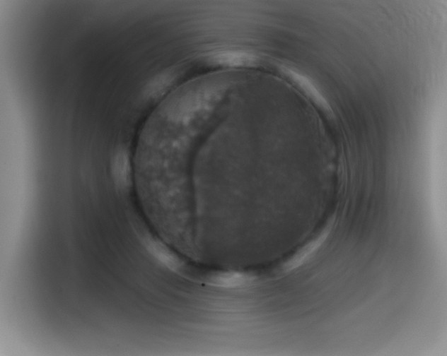 X0000114580453200910191526