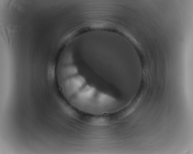 X0000114580454200910191526