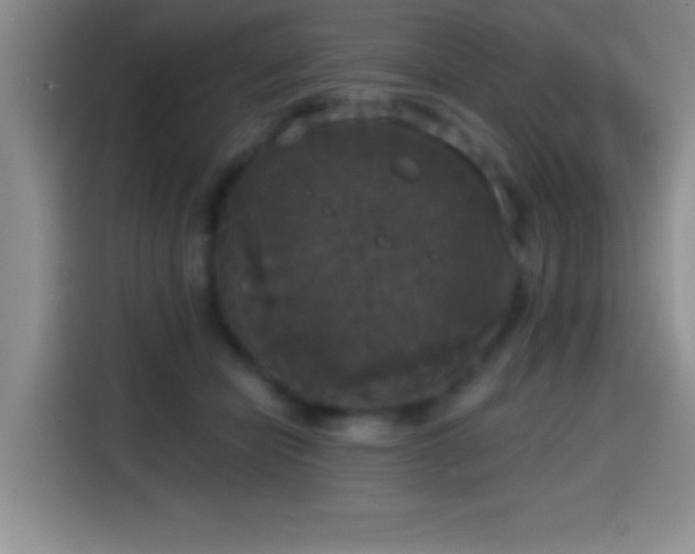 X0000114580462200910191527